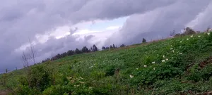 Land That Has Mining Area