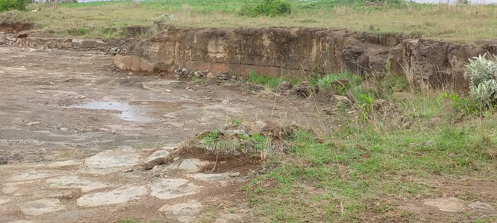 Land That Has Mining Area