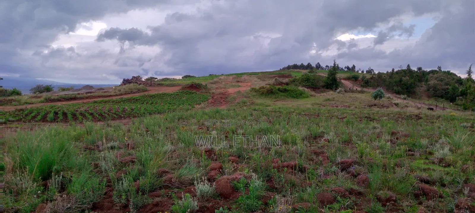 Land That Has Mining Area