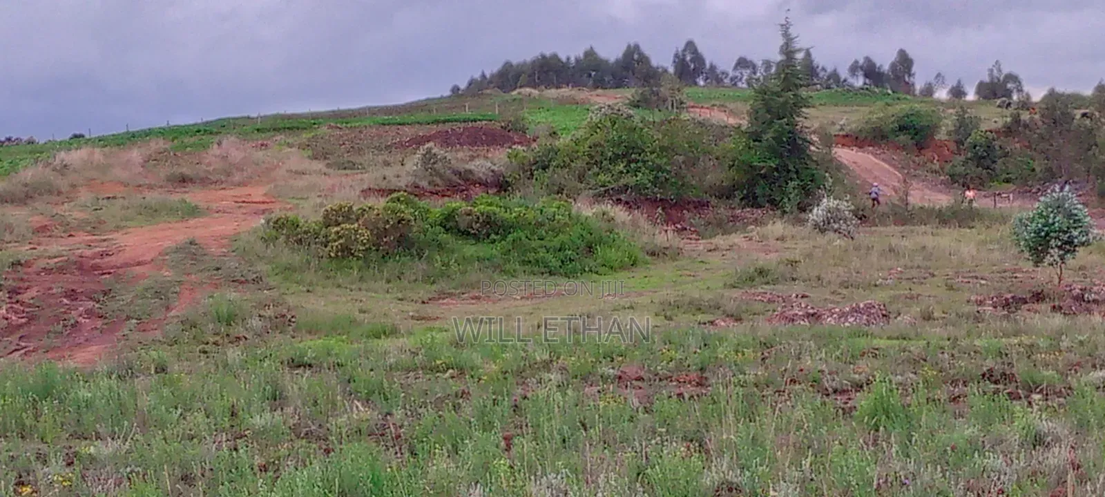 Land That Has Mining Area