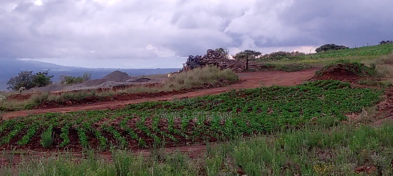 Land That Has Mining Area