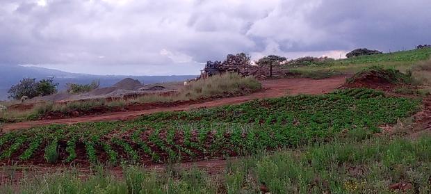 Land That Has Mining Area - thumbnail 11