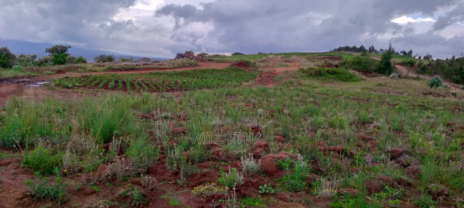 Land That Has Mining Area