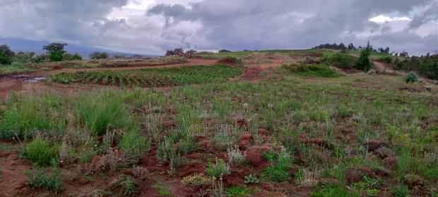 Land That Has Mining Area - thumbnail 12