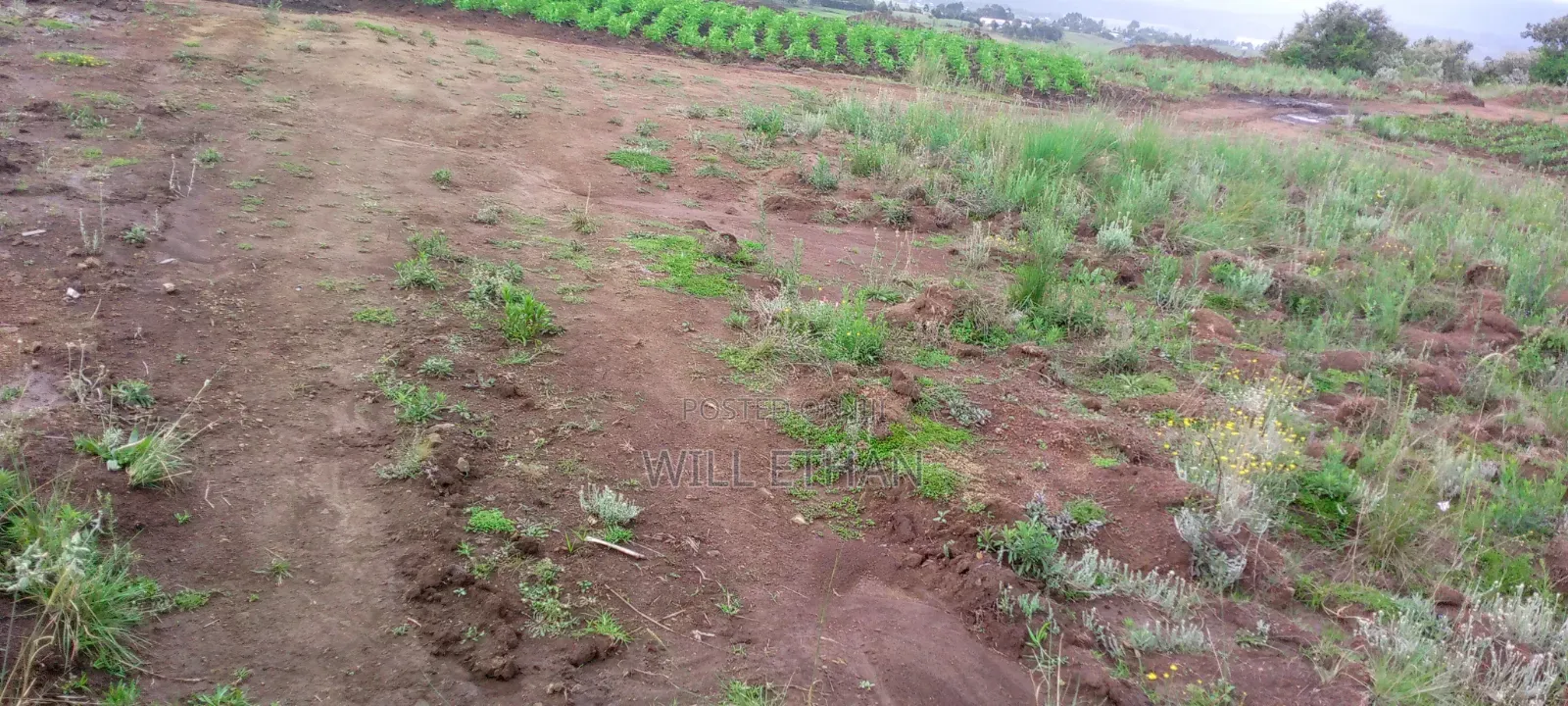 Land That Has Mining Area