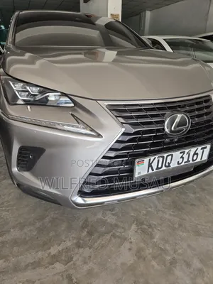 Lexus NX 2018 Gray