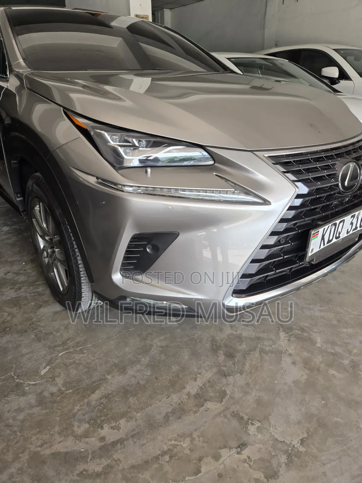 Lexus NX 2018 Gray