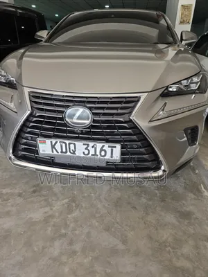 Lexus NX 2018 Gray