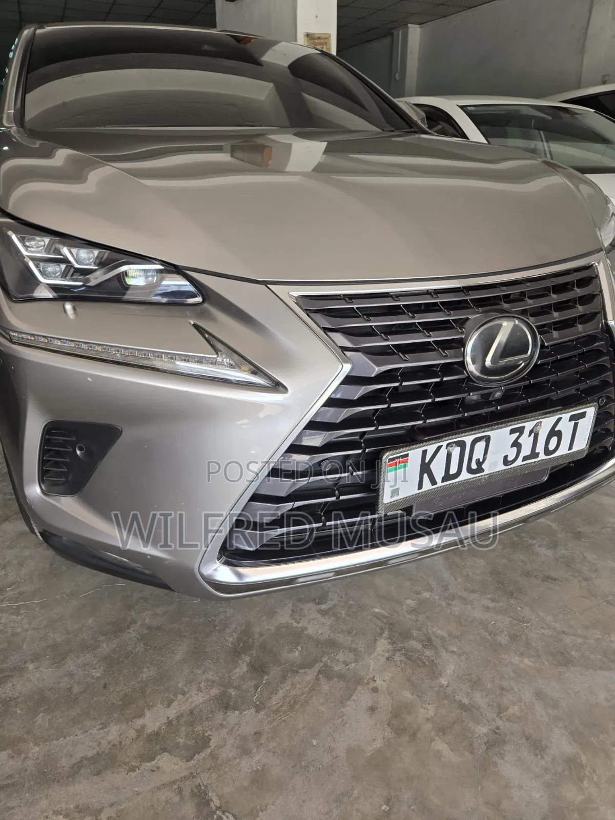 Lexus NX 2018 Gray