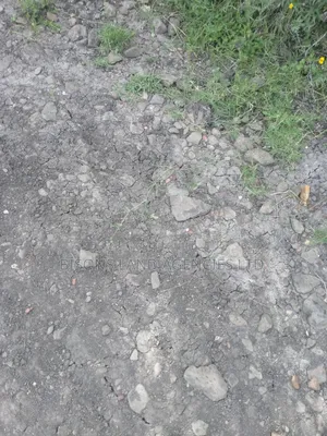 Available One Acre Land for Sale