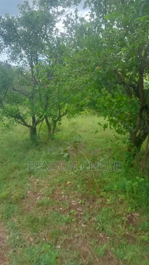 45acres for Sale at Maragua Ridge