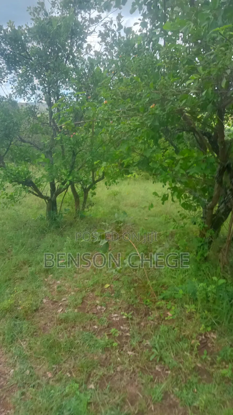 45acres for Sale at Maragua Ridge