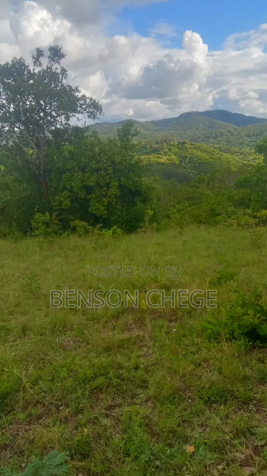 45acres for Sale at Maragua Ridge