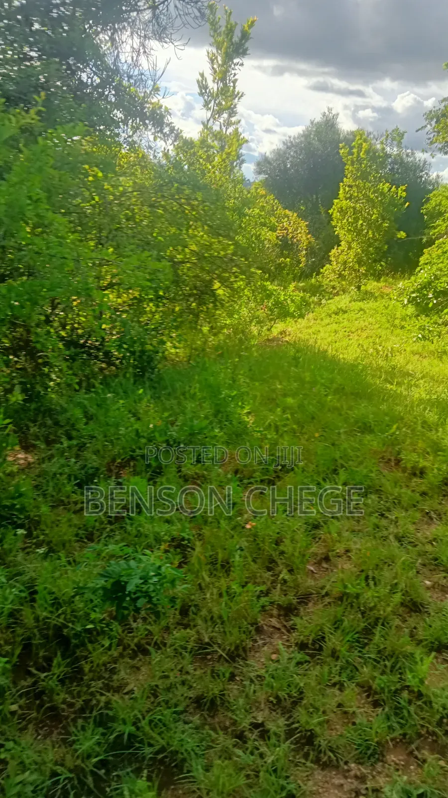 1.5acre Land for Sale St Maragua Ridge