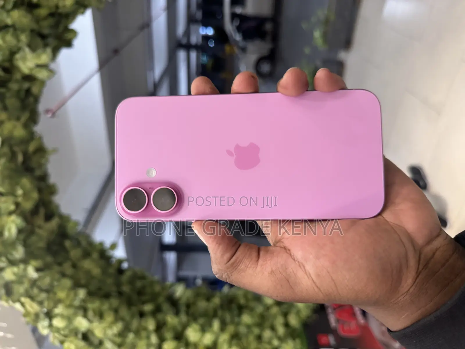 Apple iPhone 16 Plus 128 GB Pink