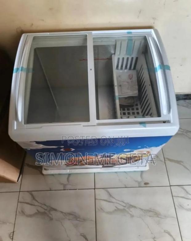 With Two Sided .Tlac 256l Freezer