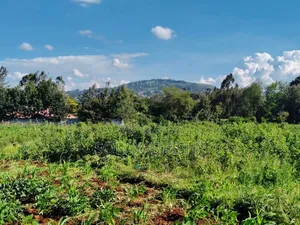 Kibiko Gem: 1⁄2 Acre, Tarmac Road, Stunning Ngong Hills Views