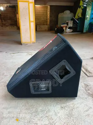 Evp-x15pm15" Passive Floor Monitor