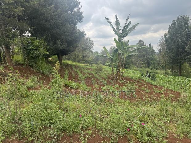 1/8 Acre Ngere Road Kibiku - thumbnail 5