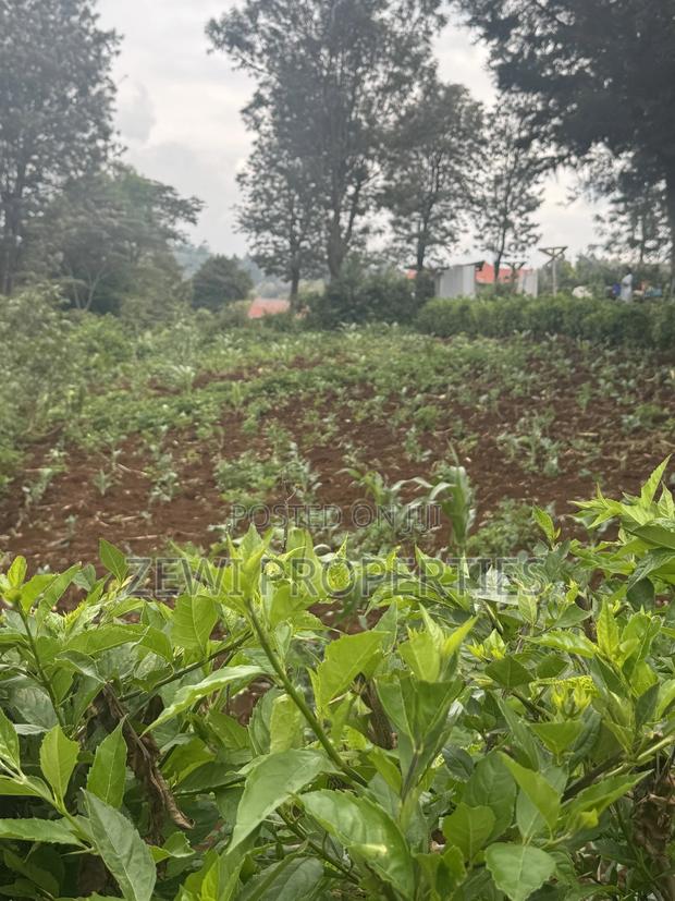 1/8 Acre Ngere Road Kibiku - thumbnail 3