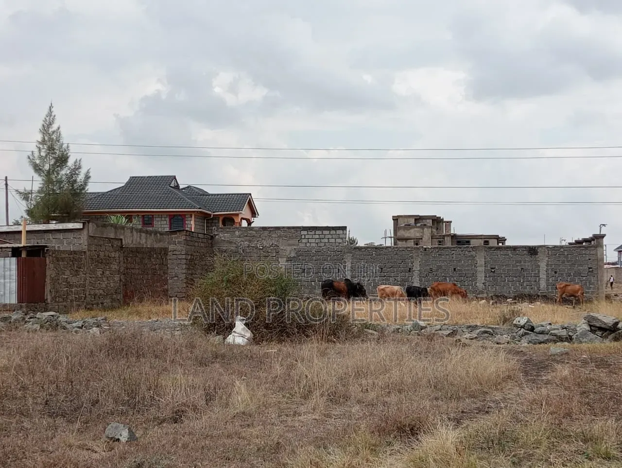 Ruiru Kamakis Plots for Sale Near Eastern Bypass