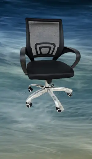 Assembled Executive Office Chair With a Free Lumbar Support