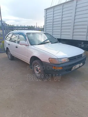 Toyota Corolla 2001 White