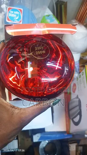 Chicken Bulb