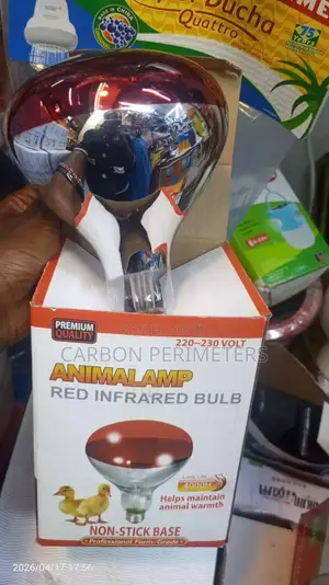Chicken Bulb