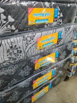 5x6×8 Inches Morning Glory Quilted Top Mattress – Extra Thick Comfort