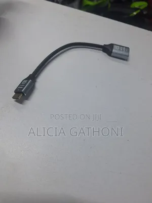 Mini Hdmi to Hdmi Male Adapter