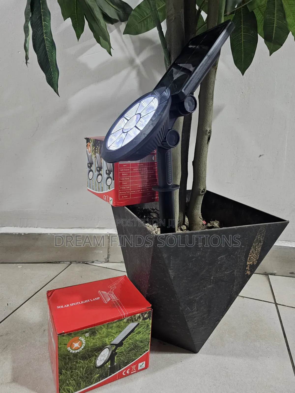 Decorative Solar Lighting