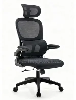 Back Support Orthopaedic Office Chair