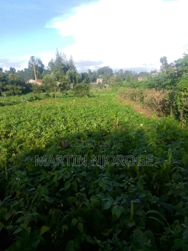 3⁄4 Acre Plot Ngarariga - thumbnail 2
