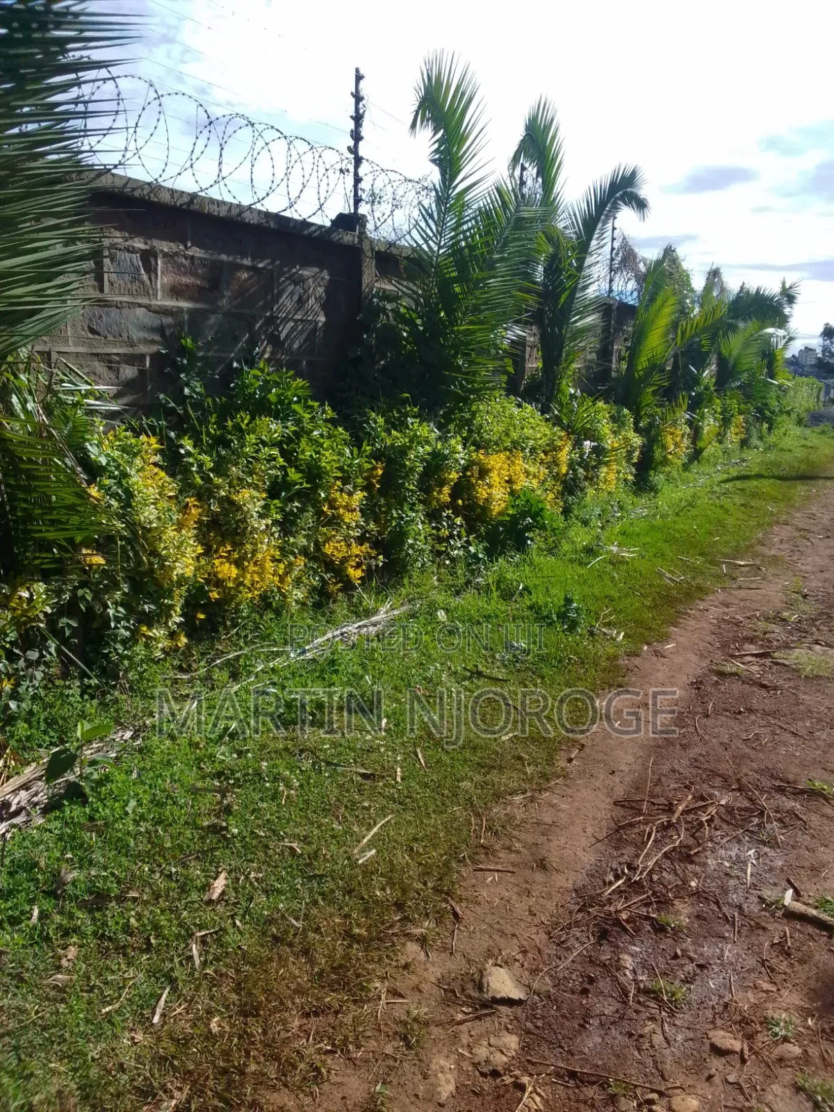 Mixed Farm, Ngarariga