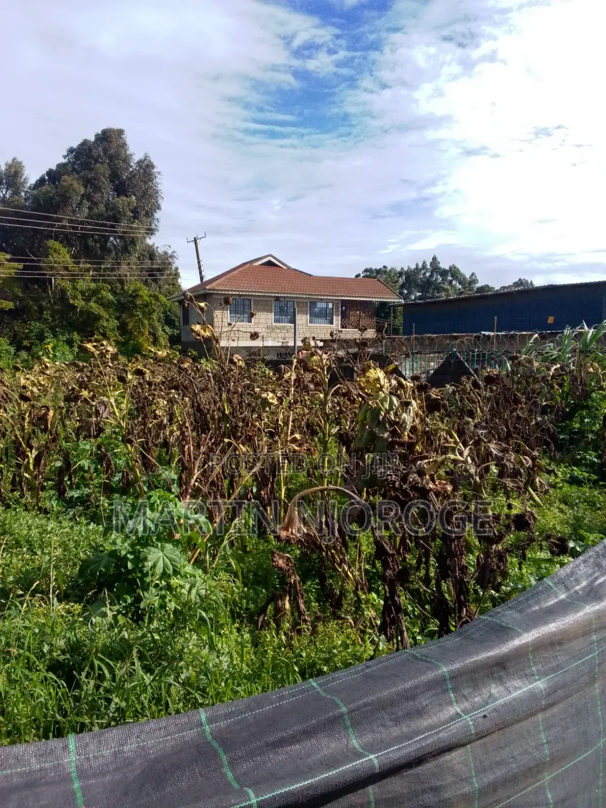 Mixed Farm, Ngarariga