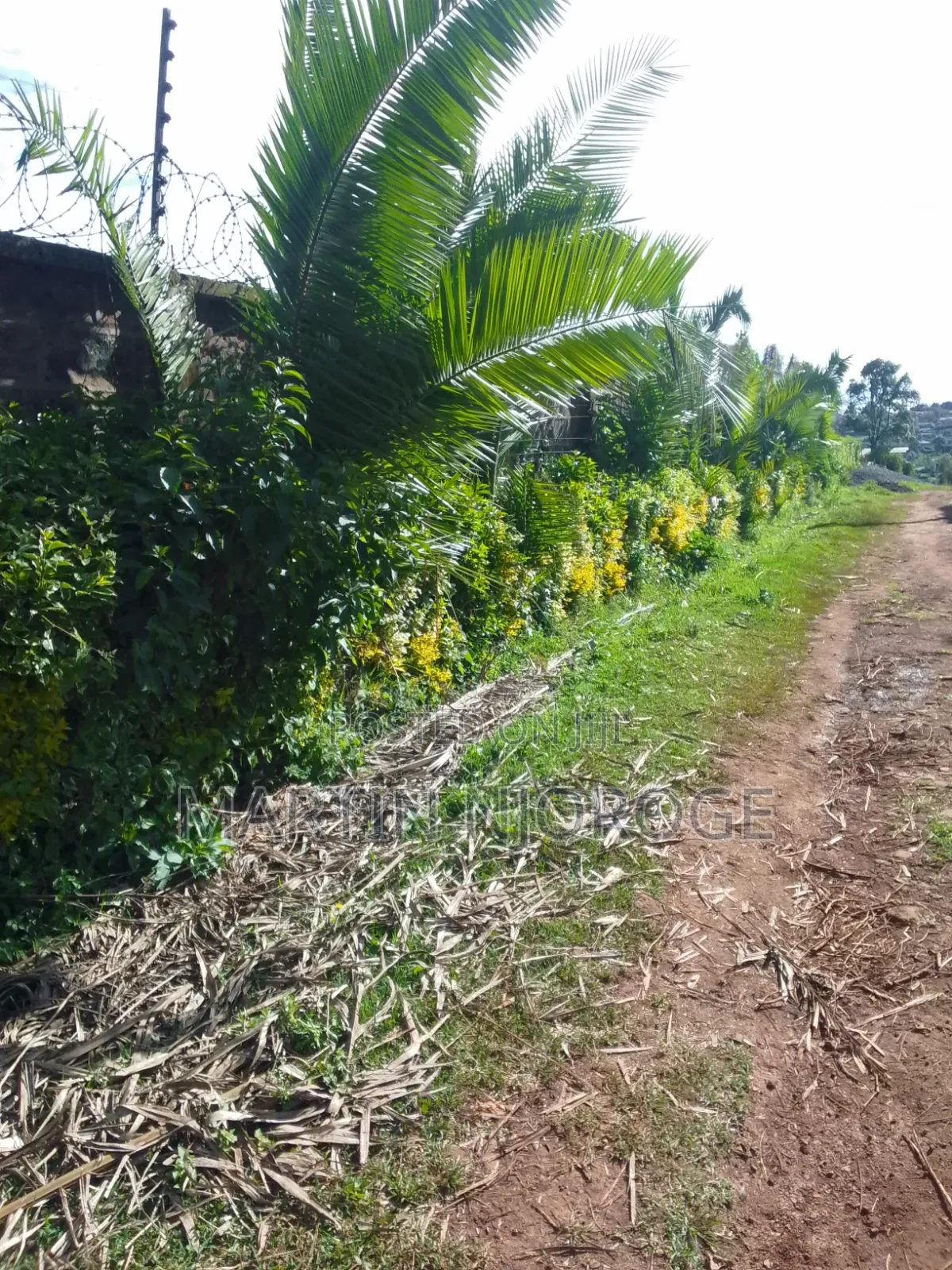 Mixed Farm, Ngarariga