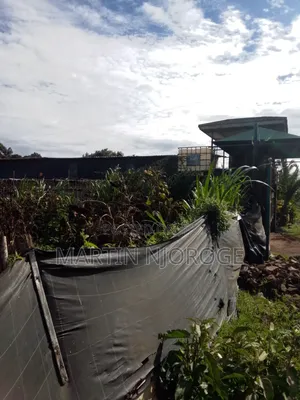 Mixed Farm, Ngarariga