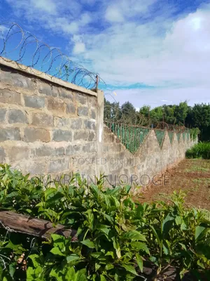Mixed Farm, Ngarariga
