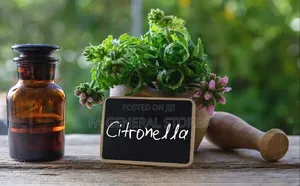 Citronella Fragrance