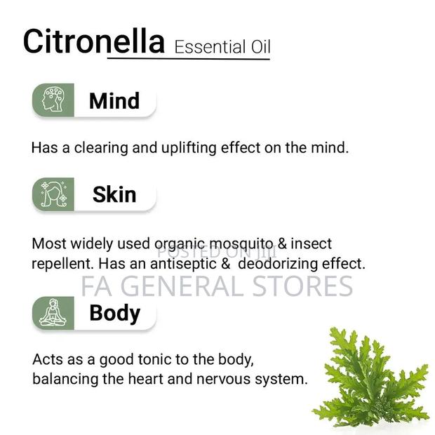 Citronella Essential - thumbnail 2