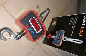 Hook Crane Weighing Scale