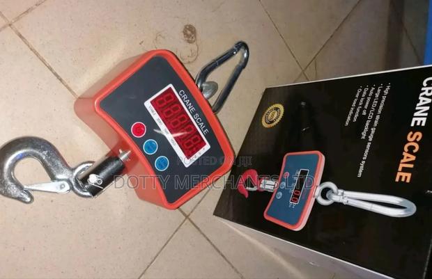 Hook Crane Weighing Scale - main view