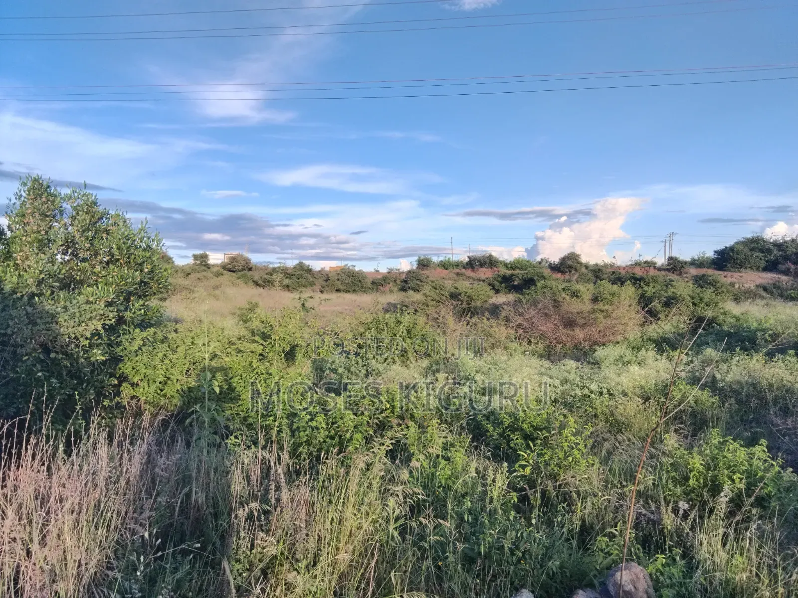 50x100 Commercial Plots for Sale
