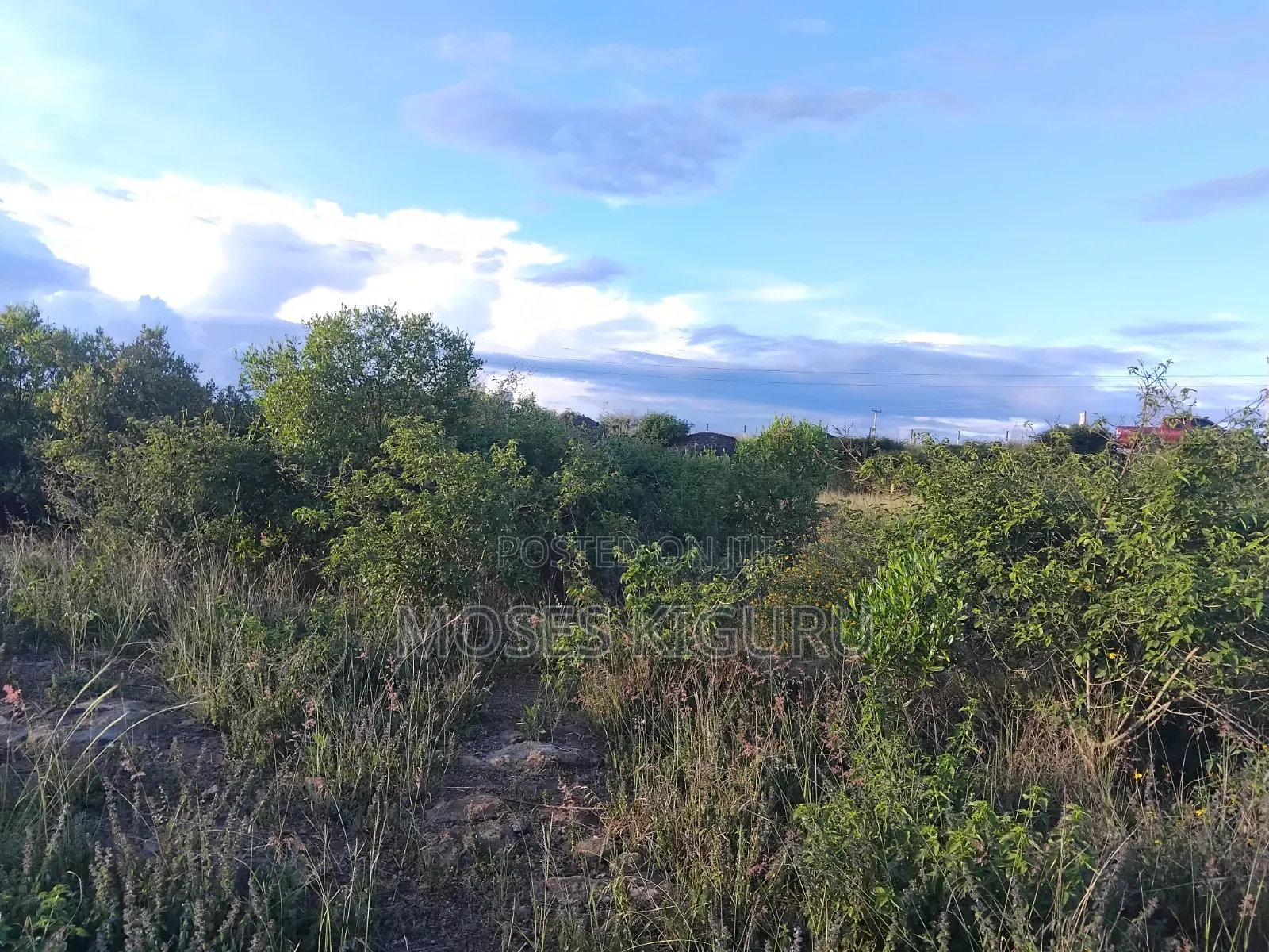 50x100 Commercial Plots for Sale