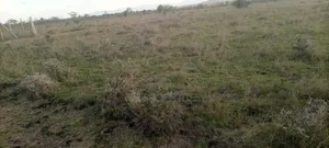 Kitengela Prime Plots for Sale