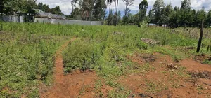 Prime Plots for Sale in Outspan Eldoret Behind Kwa Dc