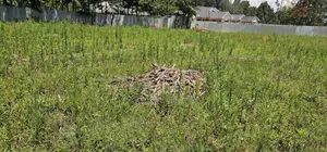 Prime Plots for Sale in Outspan Eldoret Behind Kwa Dc