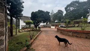 6bdrm Mansion in Riverside Drive for rent