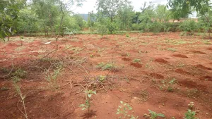 50x100 Land on Sale in Voi, Taita Taveta With Ready Title Deed